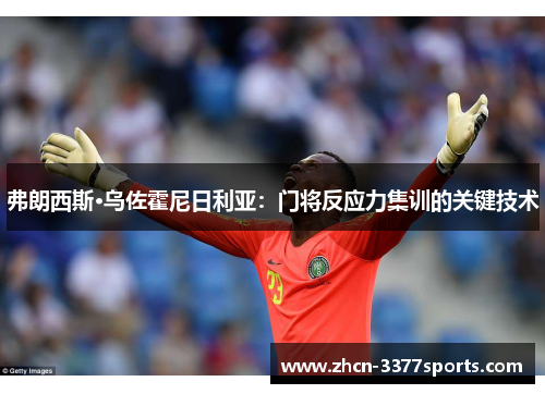弗朗西斯·乌佐霍尼日利亚：门将反应力集训的关键技术