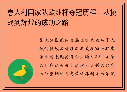 意大利国家队欧洲杯夺冠历程：从挑战到辉煌的成功之路