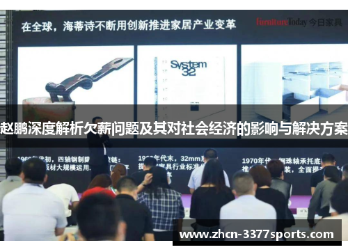 赵鹏深度解析欠薪问题及其对社会经济的影响与解决方案