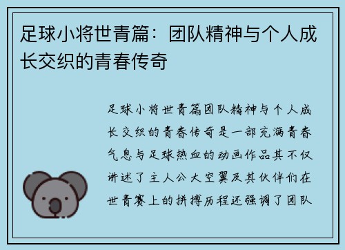 足球小将世青篇：团队精神与个人成长交织的青春传奇