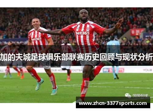 加的夫城足球俱乐部联赛历史回顾与现状分析